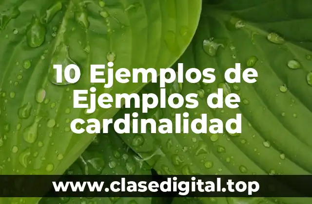 10 Ejemplos de Ejemplos de cardinalidad