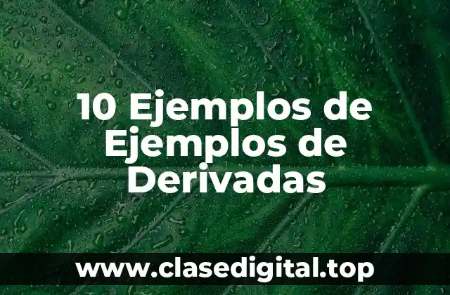 10 Ejemplos de Ejemplos de Derivadas
