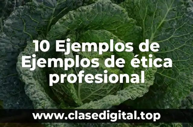 10 Ejemplos de Ejemplos de ética profesional