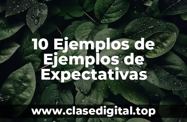 10 Ejemplos de Ejemplos de Expectativas