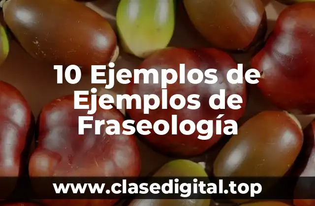 10 Ejemplos de Ejemplos de Fraseología
