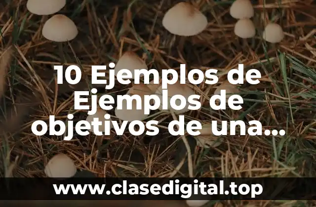 10 Ejemplos de Ejemplos de objetivos de una empresa que tiene giro comercial
