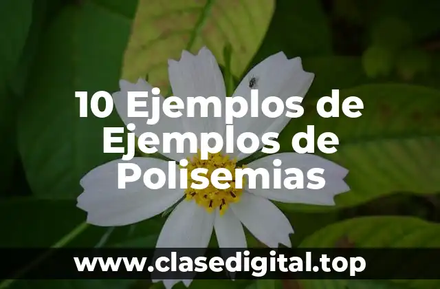 10 Ejemplos de Ejemplos de Polisemias