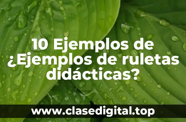 10 Ejemplos de ¿Ejemplos de ruletas didácticas?