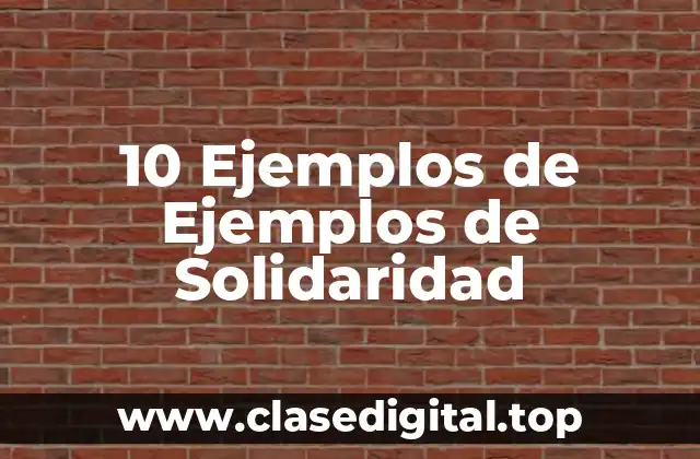 10 Ejemplos de Ejemplos de Solidaridad