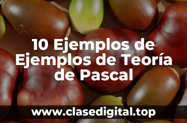 10 Ejemplos de Ejemplos de Teoría de Pascal