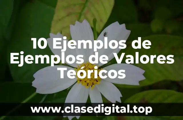 10 Ejemplos de Ejemplos de Valores Teóricos