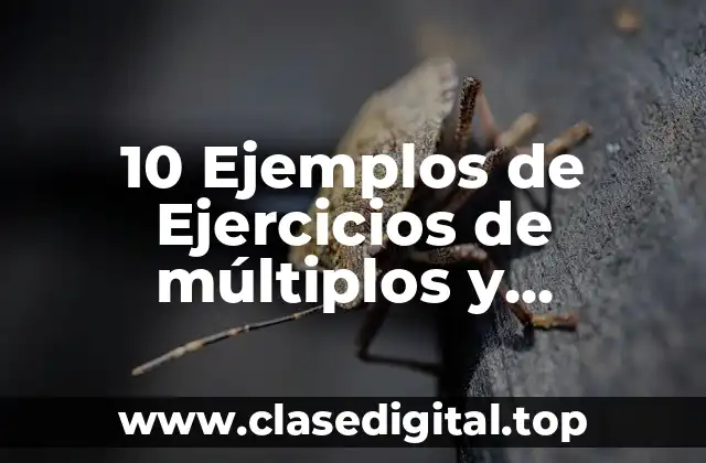 10 Ejemplos de Ejercicios de múltiplos y submúltiplos del metro cuadrado