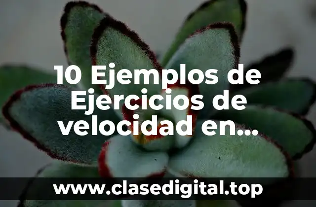 10 Ejemplos de Ejercicios de velocidad en educación física