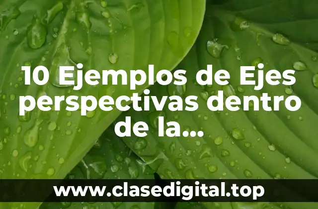 10 Ejemplos de Ejes perspectivas dentro de la implementacion