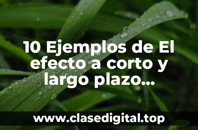 10 Ejemplos de El efecto a corto y largo plazo sistémico