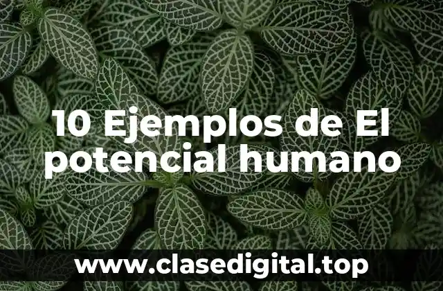 10 Ejemplos de El potencial humano