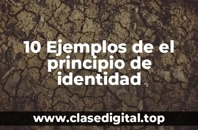 10 Ejemplos de el principio de identidad