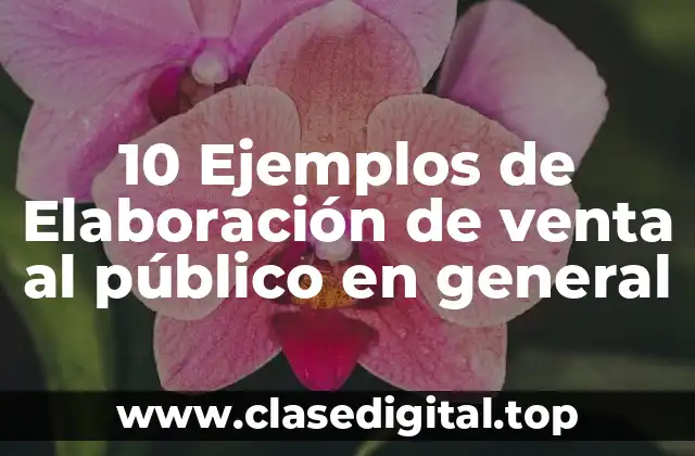 10 Ejemplos de Elaboración de venta al público en general