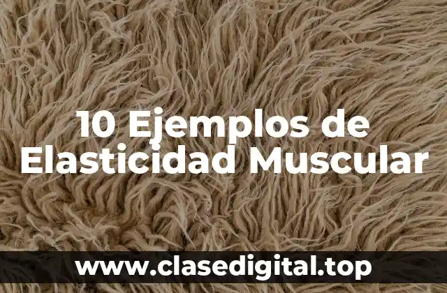 10 Ejemplos de Elasticidad Muscular