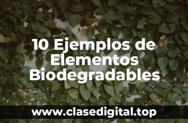 10 Ejemplos de Elementos Biodegradables