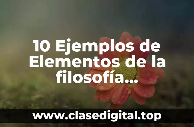 10 Ejemplos de Elementos de la filosofía organizacional