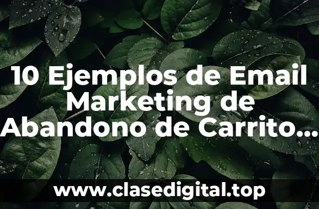 10 Ejemplos de Email Marketing de Abandono de Carrito Ejemplos