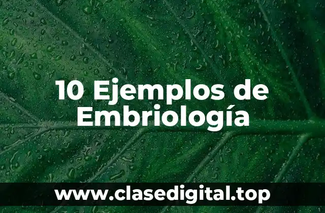 Ejemplos de Embriología