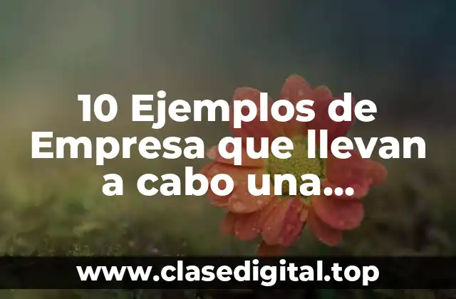 10 Ejemplos de Empresa que llevan a cabo una administración científica