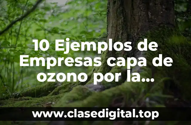 10 Ejemplos de Empresas capa de ozono por la departamentalizacion clientes
