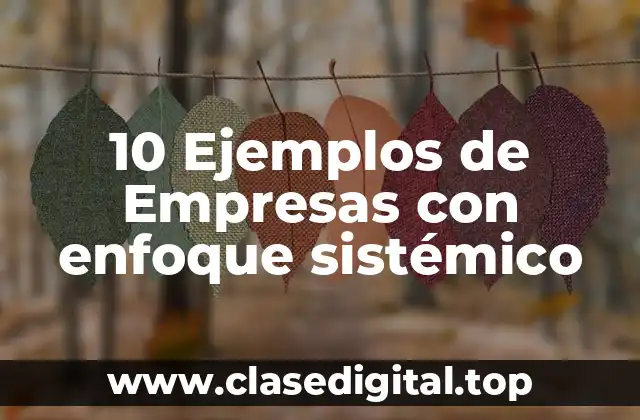 10 Ejemplos de Empresas con enfoque sistémico