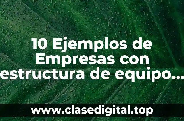 10 Ejemplos de Empresas con estructura de equipo de producto