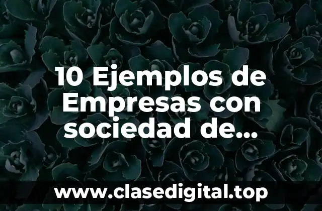 10 Ejemplos de Empresas con sociedad de responsabilidad limitada