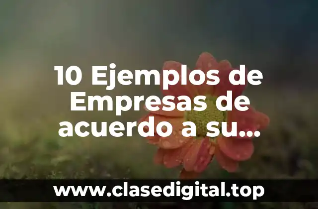 10 Ejemplos de Empresas de acuerdo a su criterios
