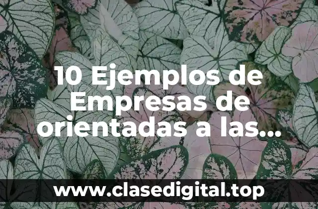 10 Ejemplos de Empresas de orientadas a las ventas