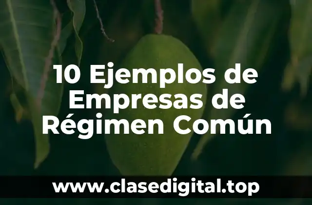 10 Ejemplos de Empresas de Régimen Común