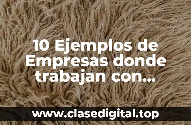 10 Ejemplos de Empresas donde trabajan con problemas ambientales