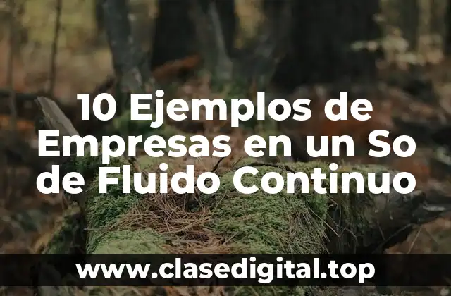 10 Ejemplos de Empresas en un So de Fluido Continuo