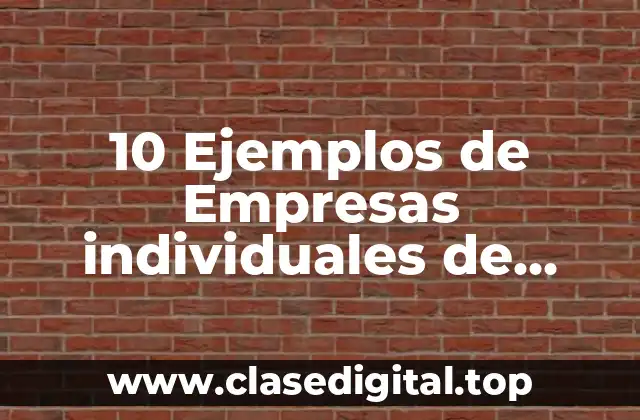 10 Ejemplos de Empresas individuales de responsabilidad limitada en Chile