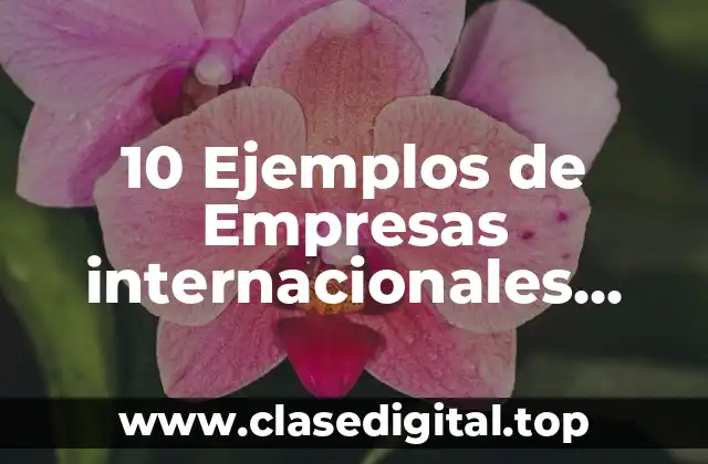 10 Ejemplos de Empresas internacionales multinacionales y transnacionales