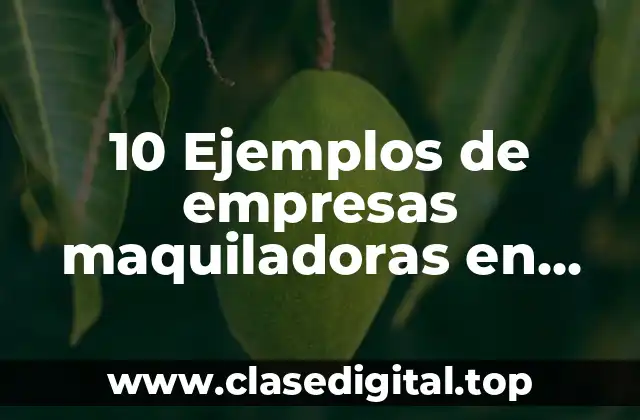 10 Ejemplos de empresas maquiladoras en mexico