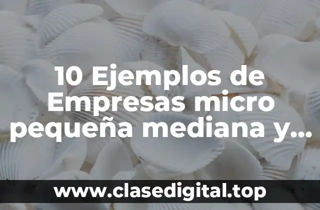 10 Ejemplos de Empresas micro pequeña mediana y grande