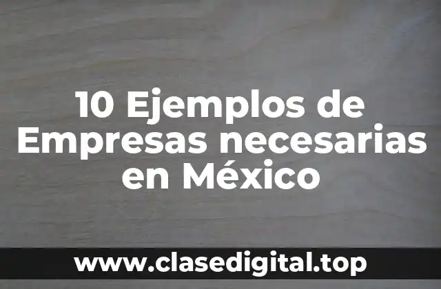 Ejemplos de empresas necesarias en México
