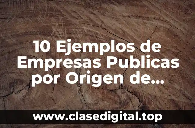 10 Ejemplos de Empresas Publicas por Origen de Capital