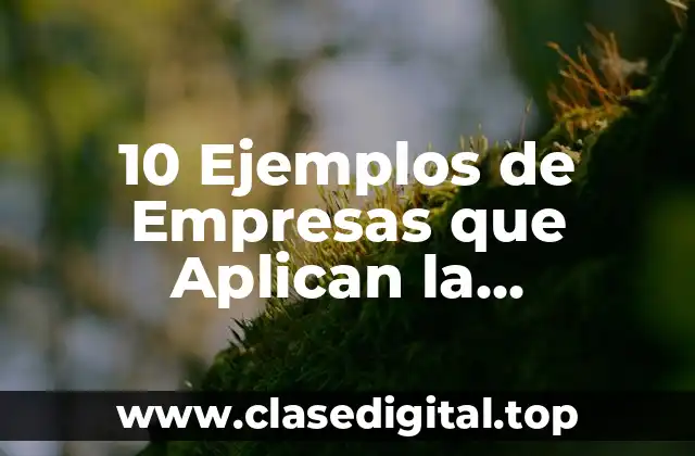 10 Ejemplos de Empresas que Aplican la Administración con Otras Ciencias