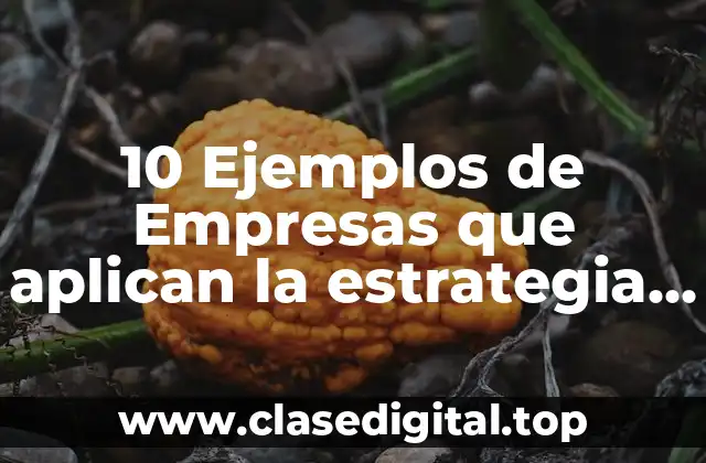 Ejemplos de empresas que aplican la estrategia del oceano azul