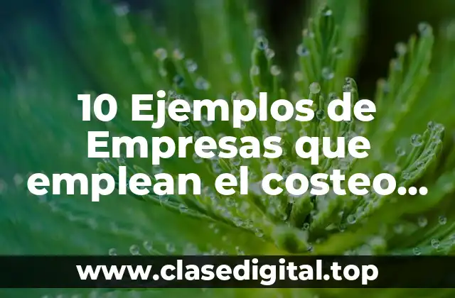 10 Ejemplos de Empresas que emplean el costeo estándar