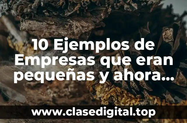 10 Ejemplos de Empresas que eran pequeñas y ahora son grandes, Definición, Diferencias y para que sirve