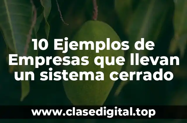 10 Ejemplos de Empresas que llevan un sistema cerrado