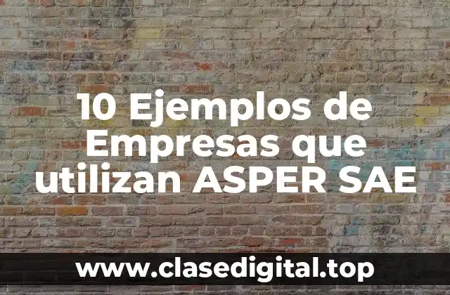 10 Ejemplos de Empresas que utilizan ASPER SAE