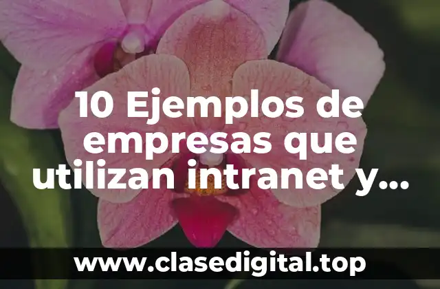 10 Ejemplos de empresas que utilizan intranet y extranet