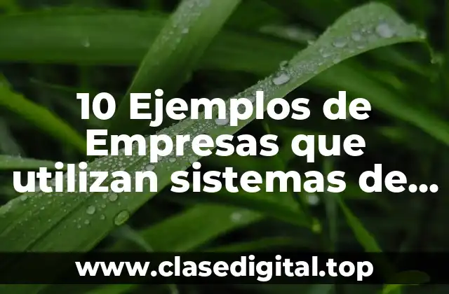 10 Ejemplos de Empresas que utilizan sistemas de información automatizados