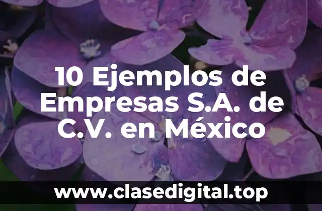 10 Ejemplos de Empresas S.A. de C.V. en México