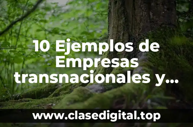 10 Ejemplos de Empresas transnacionales y multinacionales