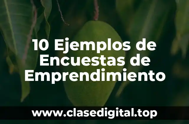 10 Ejemplos de Encuestas de Emprendimiento